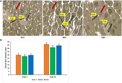 Comparison of meat quality and glycolysis potential of two hybrid pigs in three-way hybrid model